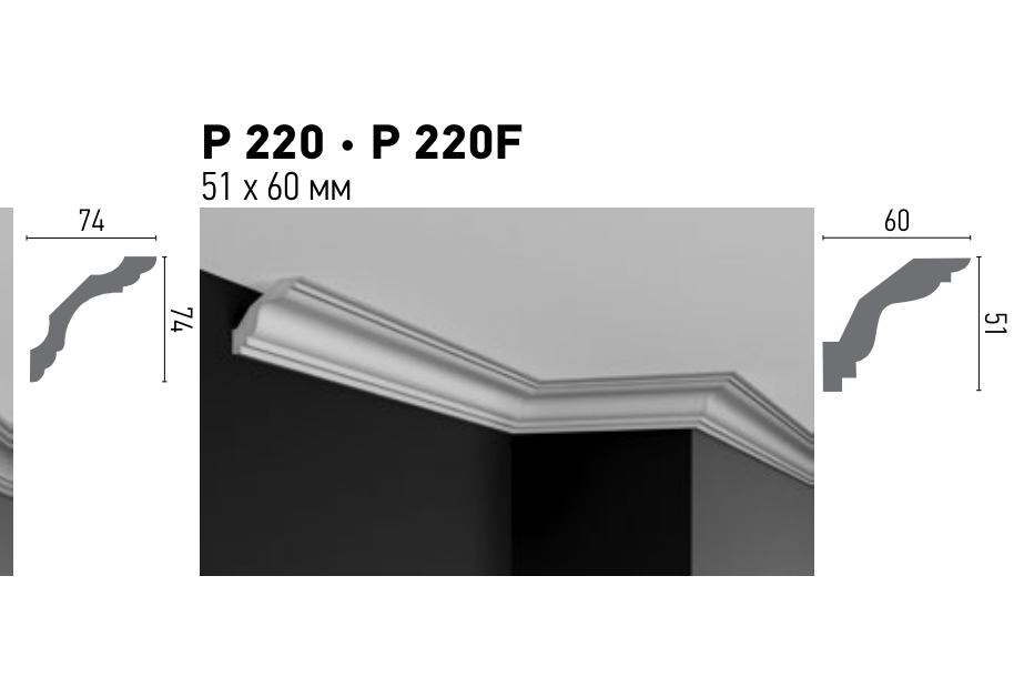 Схема та розміри P 220