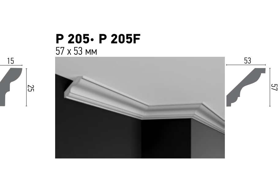 Схема та розміри P 205