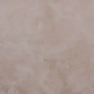 CAMOSCIO
